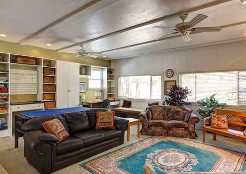 Large den for parties or room for air mattress