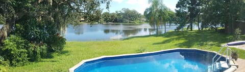 View from the living room