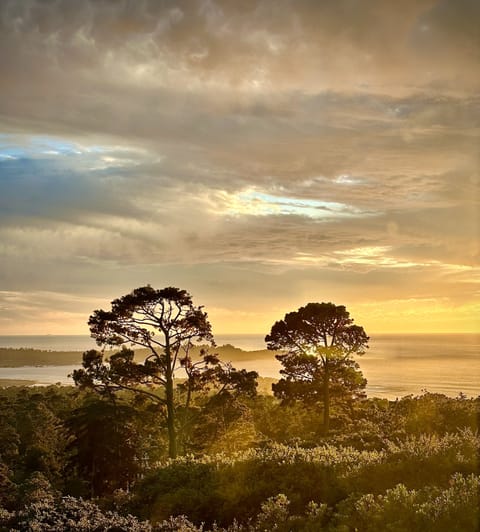 Views from upstairs Grand Living Room