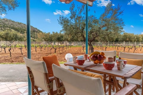 Outdoor Patio with Dining Table – Charming terrace surrounded by olive trees, perfect for open-air meals.