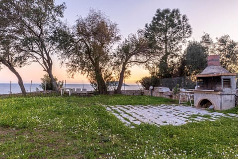 Garden and BBQ Area Under the Olive Trees – Relaxing outdoor space for leisurely meals and gatherings.