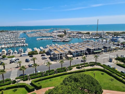 Marina, Boat, Sea, Coastal And Oceanic Landforms, Bird'S-Eye View, Dock, Coast, Port, Watercraft, Harbor