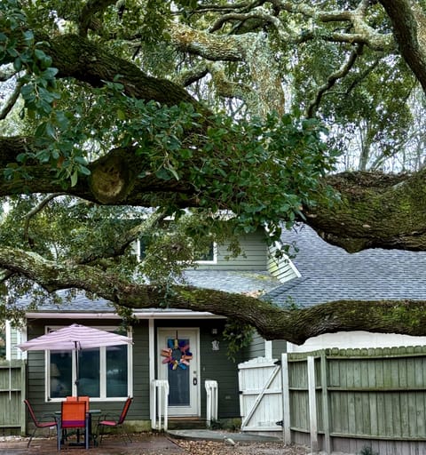 Privacy fence surrounds the front yard with majestic grand oak 