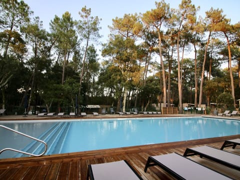 Water, Furniture, Sky, Swimming Pool, Sunlounger, Tree, Chair, Outdoor Furniture, Shade, Rectangle