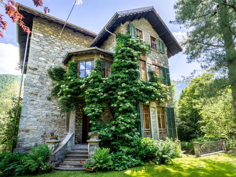Plant, Sky, Building, Property, Window, Green, Tree, Door, Vegetation, Land Lot