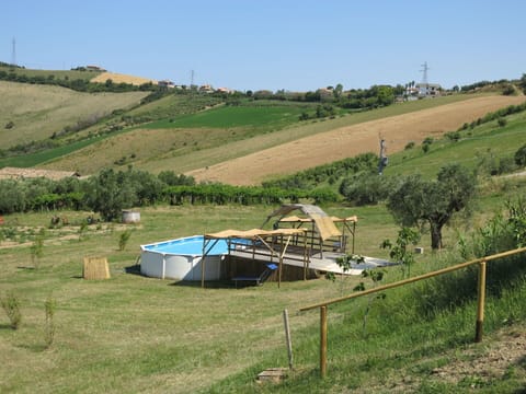 Rural Area, Pasture, Farm, Land Lot, Grassland, Hill, Landscape, Grass, Tree, Ranch