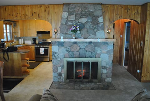 Electric Fire Place