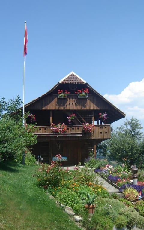 Picture 1