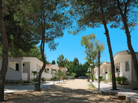 Property, Town, House, Neighbourhood, Tree, Home, Residential Area, Real Estate, Building, Architecture