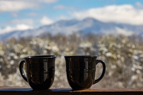 Enjoy the Mountain View during every season 