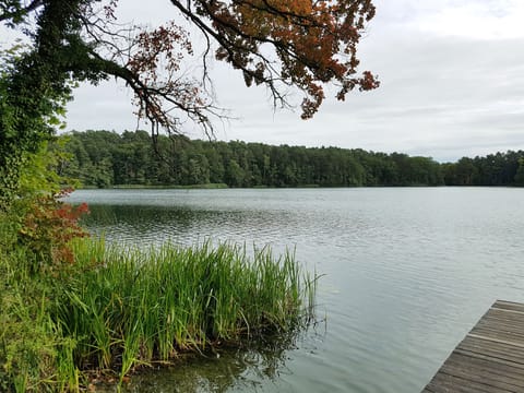 Lake