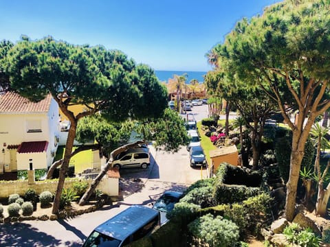 Views from the terrace