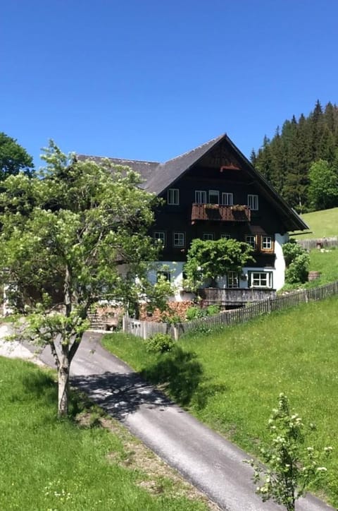 Plant, Sky, Property, Plant Community, Tree, Natural Landscape, Land Lot, Vegetation, Building, House