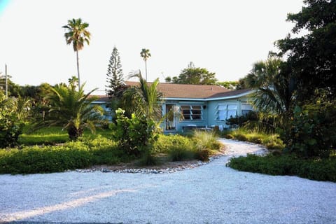 Hibiscus House has 
1/4 acre of lush tropical garden 