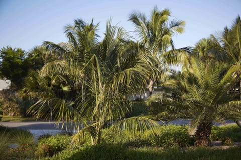 view from front porch
