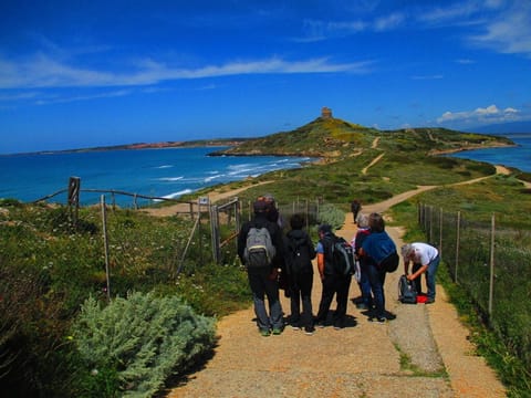 Colors from the sea special holiday House in Sardinia