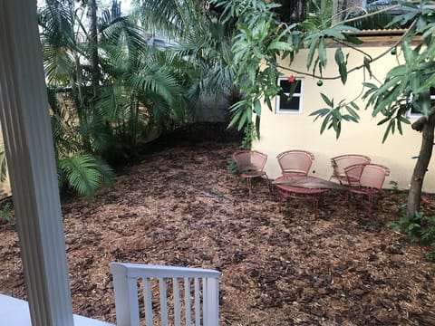 Typical grove back yard, lots of shades and fruit trees…mango and loquat
