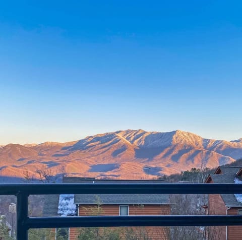 Huge Views Of Mt. Leconte From The Porch!