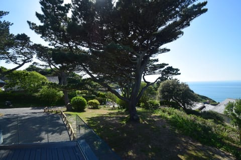 Garden view from the balcony