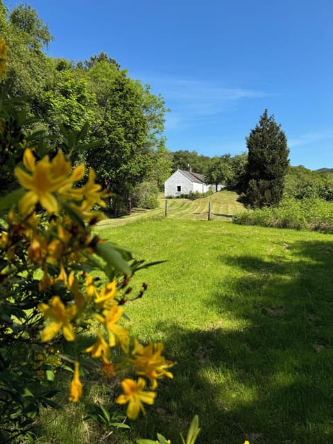 Cove Cottage Basking in the sunshine - late May large grass area ideal for dogs 