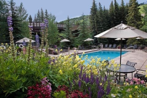 Pool - Lion Square Lodge at Lionshead Village