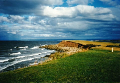 Black Point (5 minute walk with spectacular 360 view - caution, banks are steep)