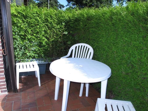 Furniture, Plant, Property, Table, Outdoor Table, Outdoor Furniture, Chair, Rectangle, Armrest, Grass