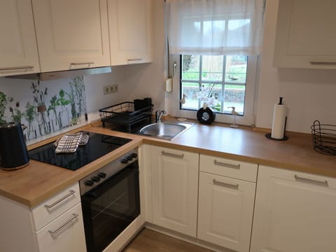 Kitchen Sink, Cabinetry, Sink, Countertop, Tap, Window, Wood, Kitchen, Kitchen Stove, Plant