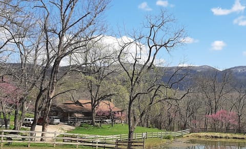 View of the Main Cabin
