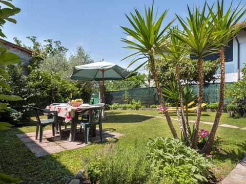 Plant, Property, Plant Community, Sky, Nature, Shade, Table, Vegetation, Arecales, Outdoor Furniture