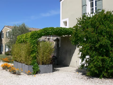 Looking into the shady terrace