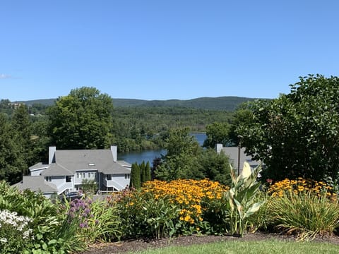 View from the hill above the condo.