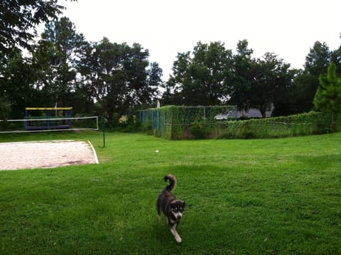 Backyard View: Sand Pit Volley Ball, Tennis Court, Fenced Pool, Dogs Romping