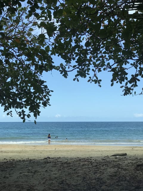 Beautiful Cocles beach just a short walk from the house