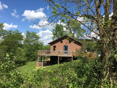 Peace and Quiet at Chubby Frog Cabin