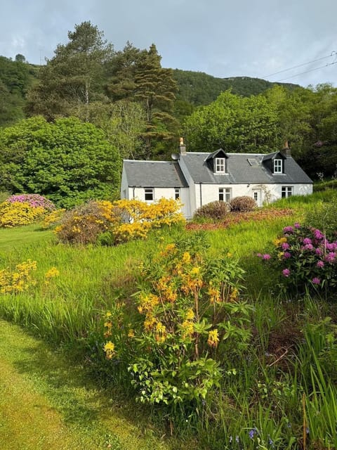 The Kennels with it's flowers
