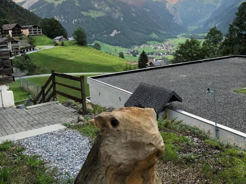 Sky, Plant, Building, Cloud, Window, Tree, House, Wood, Urban Design, Slope