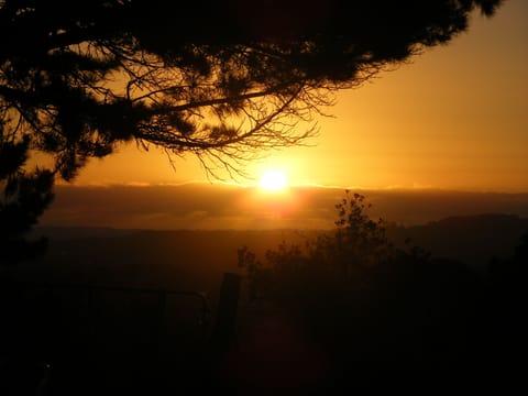 Sunset over Pukekohe