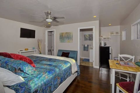Spacious Studio with King Size Bed
