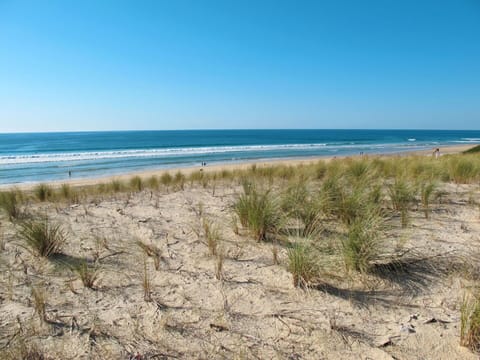 Water, Sky, Plant, Natural Landscape, Coastal And Oceanic Landforms, Beach, Landscape, Grass, Tree, Horizon