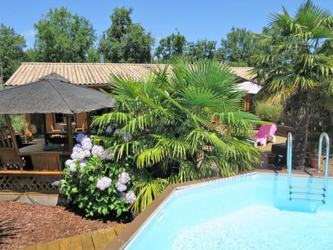 Water, Plant, Flower, Building, Property, Sky, Swimming Pool, Nature, Azure, Window