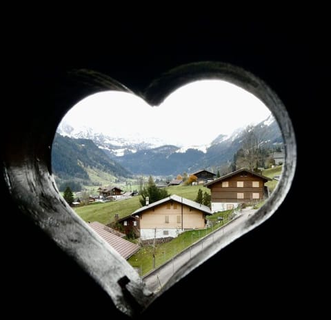 Plant, Window, Sky, Building, Tree, Rectangle, Cloud, Tints And Shades