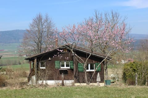 Picture 1