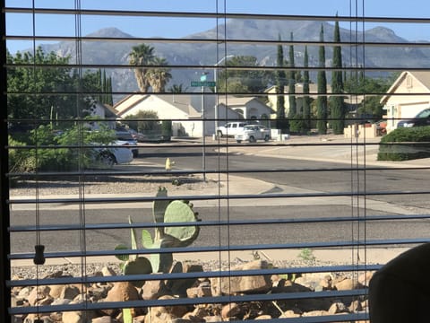 View from dining room window.