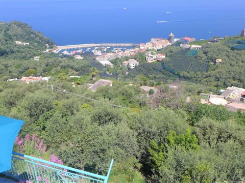 Sky, Cloud, Plant, Tree, Road Surface, Asphalt, Land Lot, House, Composite Material, Fence