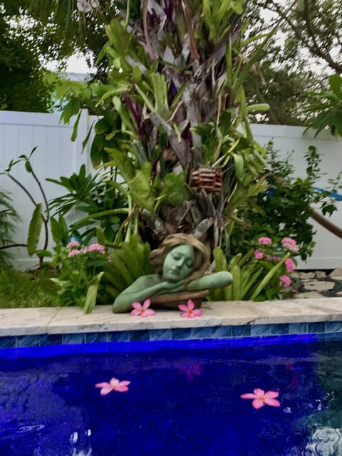 Beautiful Statues line this amazing heated pool. Garden writers yard complete