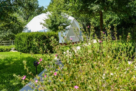 The dome is a greenhouse with koi pond & plants. plantings can change w/seasons.