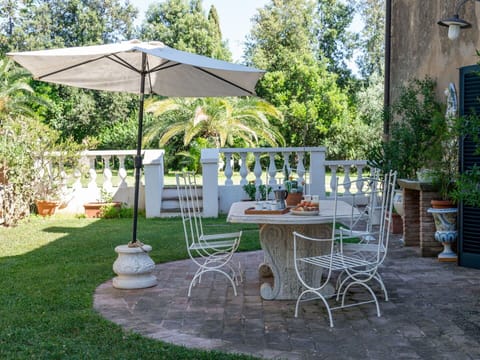 Plant, Table, Furniture, Chair, Outdoor Table, Tree, Outdoor Furniture, Shade, Grass, Umbrella
