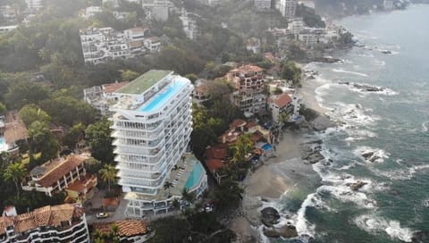 Orchid condominiums 