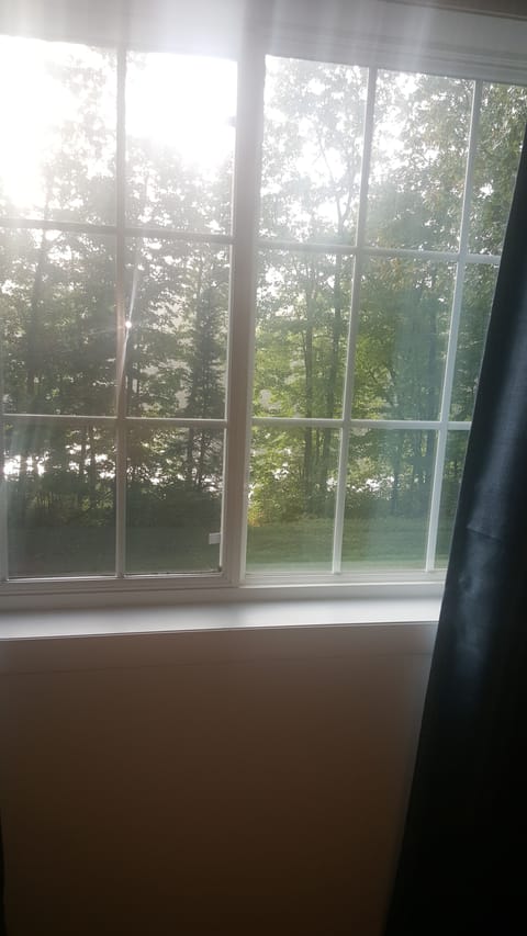 Overlooking the lake